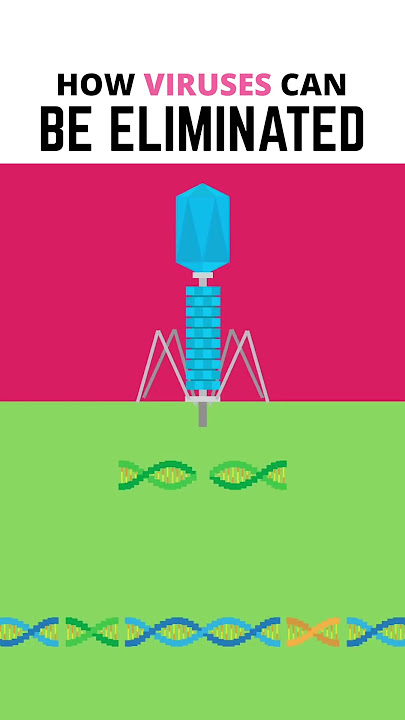 How Viruses Can Be Eliminated!