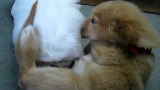 MVI_7509.AVI