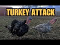 Bye Bye TURKEY Bye Bye TURKEY