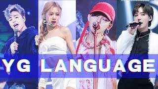 【YG】Language- Only YG people can understand/只有YG人才懂的鸡言鸡语/YG“官方”语言/只有YG制作人才懂得的语言/你YG已经开始自创语言了！