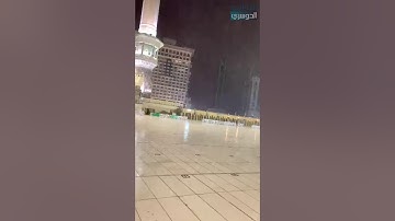 المطر ينهمر والشيخ ياسر الدوسري يترنم بـ﴿وَمِن آياتِهِ يُريكُمُ البَرقَ﴾ | تسجيل من تحت الغيوم⛈