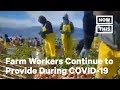 Farm Workers Risk Everything During COVID-19 While Providing Food For Americans | NowThis
