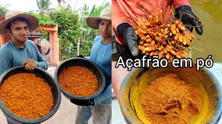 como fazer o pó de açafrão da terra em casa