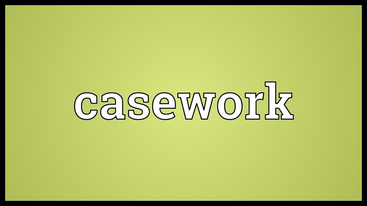 casework politics definition