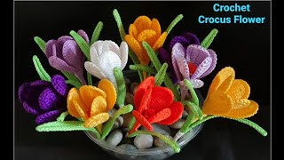 How to make crochet Crocus Flower