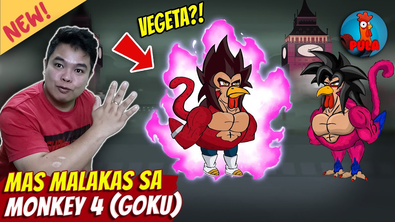 Manok ni Vegeta Bagong Manok Subrang Lakas! - MANOK NA PULA