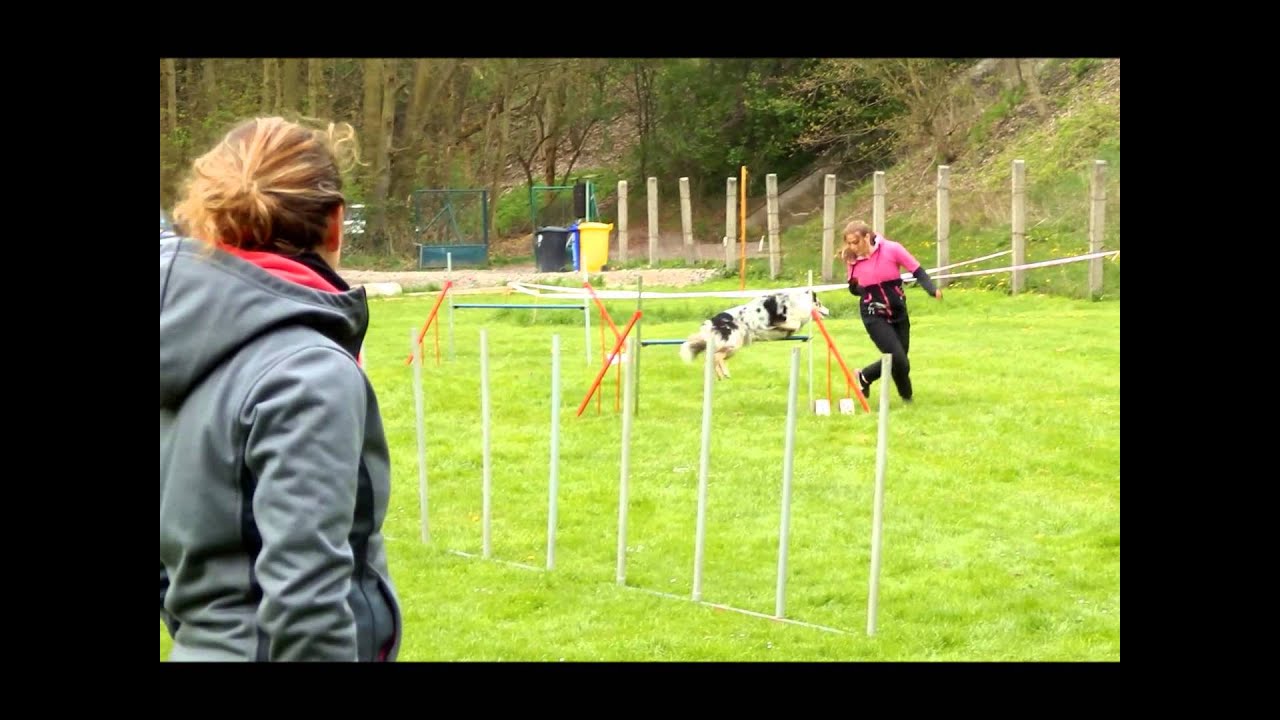 Billie - 21. 4. 2014 Intenzivka s Pavlou Duškovou