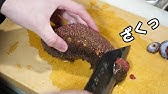 寄生 されたナマコの末路がヤバすぎる Youtube