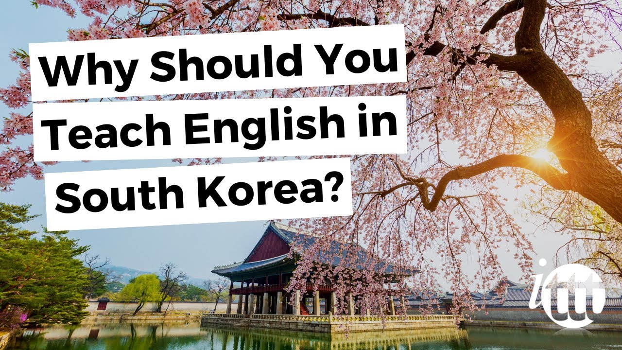 Why Should You Teach English in South Korea | ITTT TEFL BLOG - YouTube