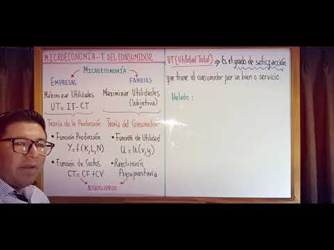 MICROECONOMÍA TEORÍA DEL