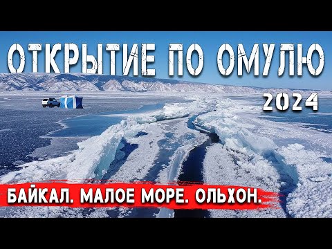 Видео: Глубинный Байкальский омуль. Открытие сезона 2024.