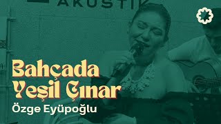 Bahçada Yeşil Çınar ❋ Akustik | @OzgeEyupoglu