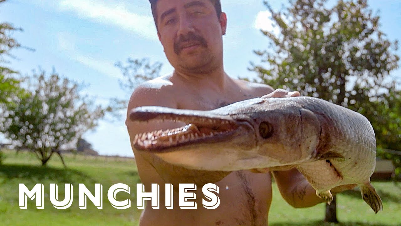 Cooking Alligator Fish Tacos - The Ultimate Taco Tour of Mexico | Munchies