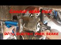 How to change rear brake pads with electric park brake using no scanner tools