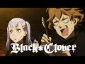 Elves! | Black Clover