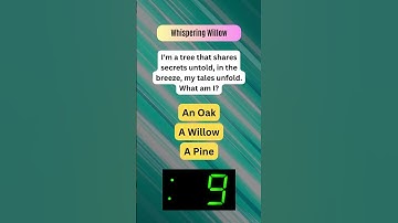 🌪️ Whirlwind Riddles: Spin into Quick Thinking! #Shorts