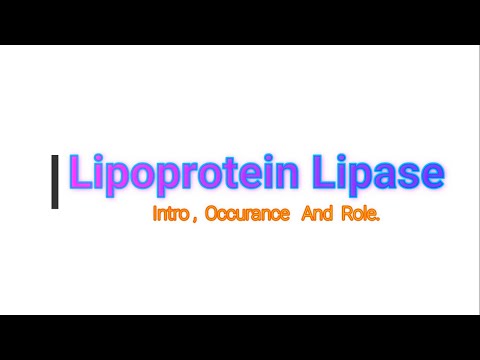 Lipoprotein Lipase (LPL ) Its Role In the Body. | Medico Star.