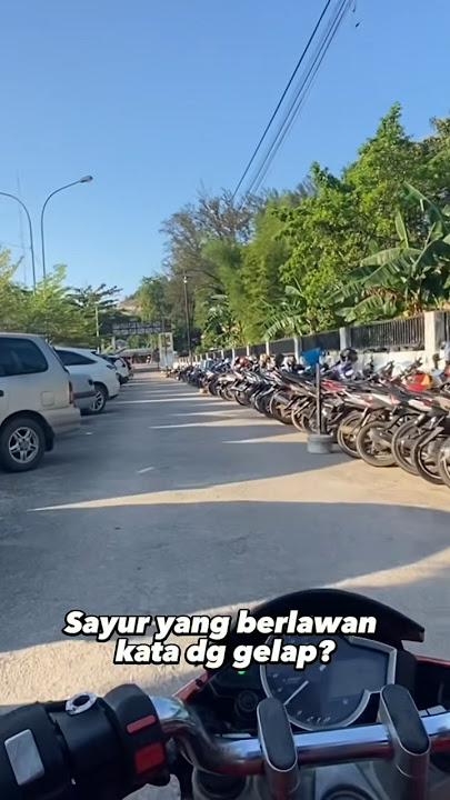 Sayur Yang Berlawan Kata Dg Gelap? 🤣🪩