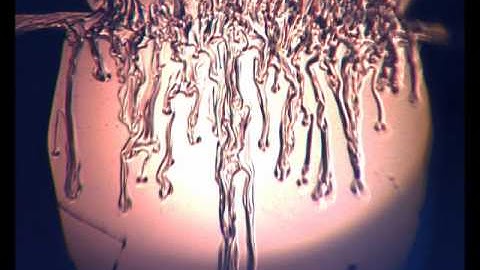 William Jewell College Physics - Double-Diffusive Instability