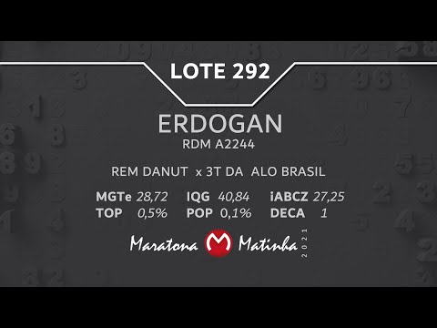 LOTE 292 Maratona Matinha