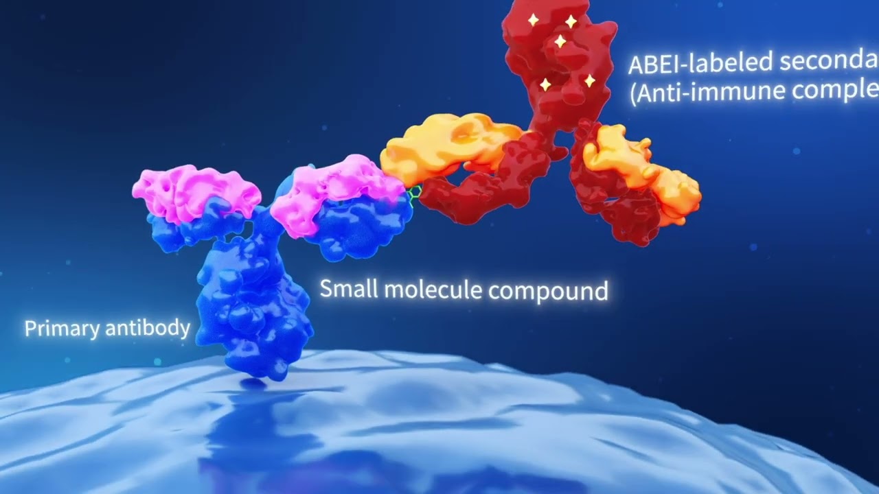 Snibe-NACA Technology for Precise Detection of Small Molecules
