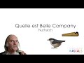 Quelle est belle bird call company  nuthatch bird call instructional