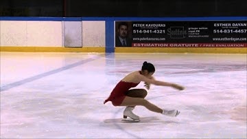Physics of Spins in Figure Skating