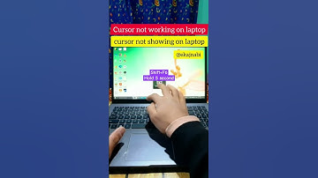 cursor not showing/working on laptop #easy #product |@uadilhassan