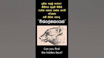 CAN YOU FIND THE HIDDEN FACE.? 🧐🤫 | #shorts #viral #opticalillusion #fyp
