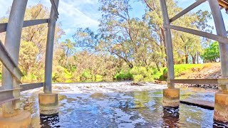 Scenic Dabs & Kayaking The Murray River | Fly High Adventures