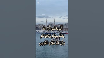 تلاوة مؤثرة | سورة التوبة آية 78 | Surah At-Tawbah Ayah 78 | القارئ محمد صديق المنشاوي