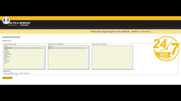 [Tuning File Service ] DTC Remover Automatic