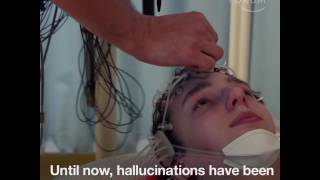 Using hallucinations to treat disease - Warning: contains flashing images