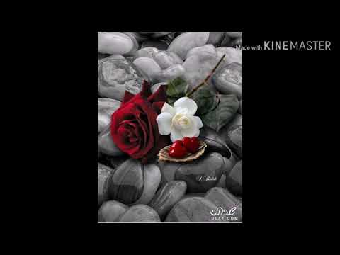 احمد العقاد بحبا