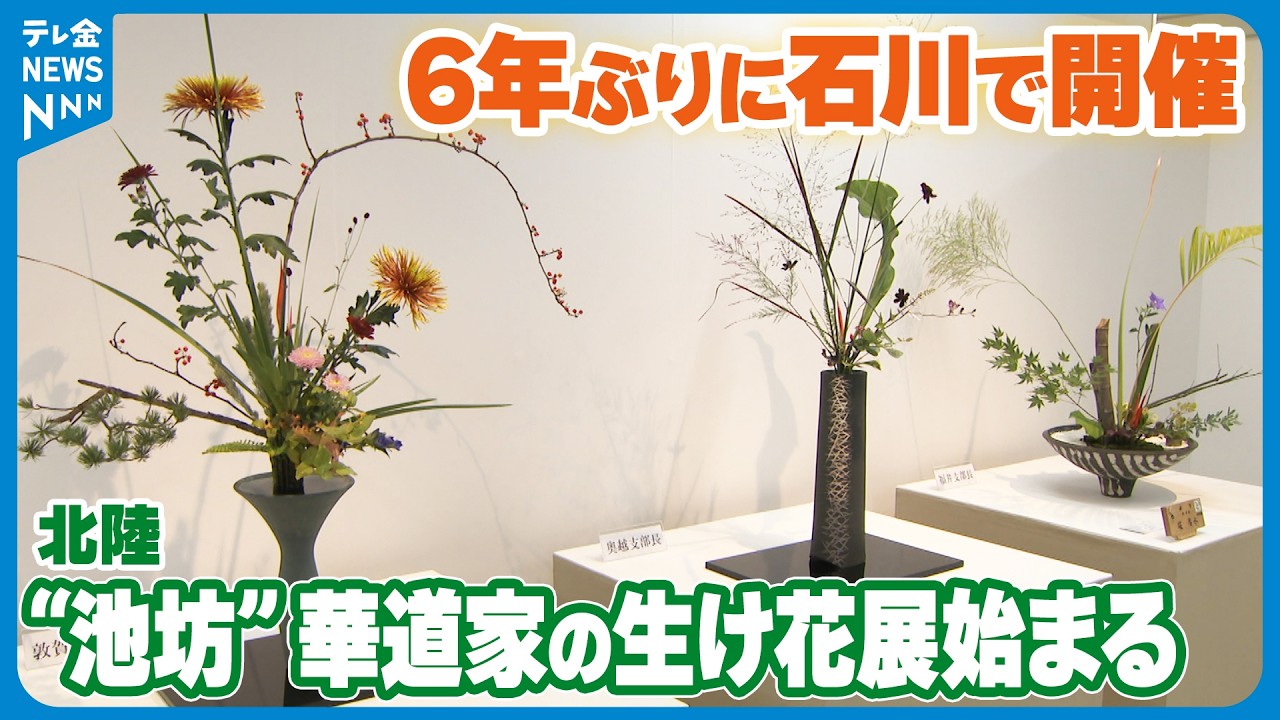 407点の力作並ぶ】北陸の“池坊”華道家の生け花展始まる 6年ぶりに石川