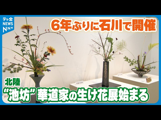 407点の力作並ぶ】北陸の“池坊”華道家の生け花展始まる 6年ぶりに石川