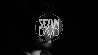 Kvinn, TRITICUM - What You Feel (Sean David Remix) [Different Stories ]