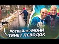 Зираддин Рзаев и ротвейлер Мони по прозвищу бульдозер(Тянет поводок)