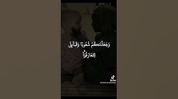 يا أيها الناس إنا خلقناكم من ذكر وأنثى وجعلناكم شعوباً وقبائل لتعارفوا - سورة الحجرات رعد الكردي