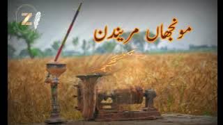 Wal aa mulair aa _ Munjhaan marendin || saraiki song ||saraiki status video|| Mulair song