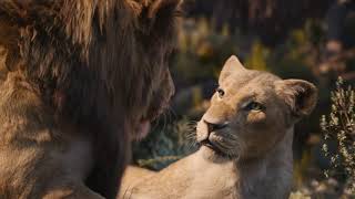 Le Roi Lion 2019 Lamour Brille Sous Les Étoiles