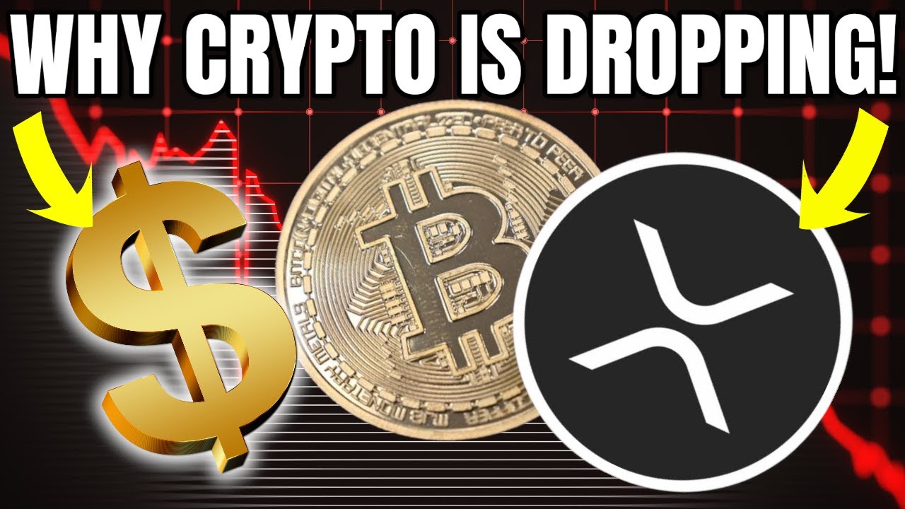 Find Out Why The Crypto Market Is FALLING! Breaking Crypto News!