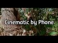Make Cinematic with SmartPhone
