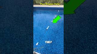 Best Pool Safety Rope? Adjustable Divider Buoy Honest Review