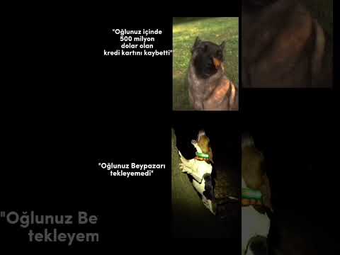 bağıran köpek #mizah #mizah #bağıranköpek #shorts #keşfet
