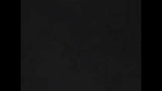 Hamtaro: The Uncensored Series Ep. 2