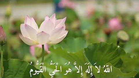آية الكرسي || القارئ : ياسر الدوسري