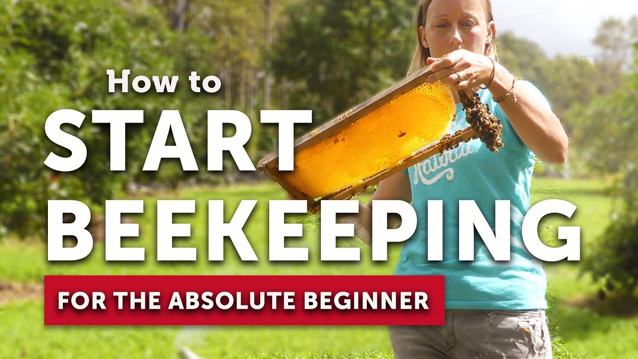 Become a Beekeeper: 8 Steps to Getting Started with Honeybees • The Prairie  Homestead