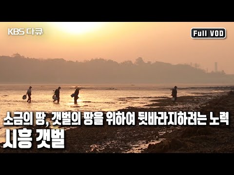 300년 동안 우리를 &rsquo;뒷바라지&rsquo; 해온 땅, 미래를 위한 새로운 &rsquo;바라지&rsquo;의 모습을 생각해 본다. &rsquo;생명의 땅, 시흥 갯벌 300년’ (KBS 20161218 방송)