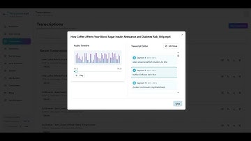 How to Create Translated Subtitles with MegaTranscript - Complete Tutorial